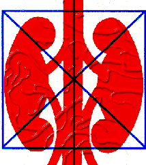 Nephrology image...