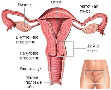 Опубликованное фото