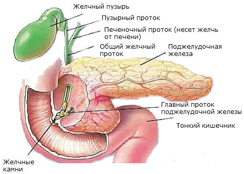 диета для улучшения