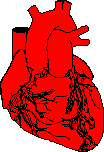 cor.gif (4446 bytes)