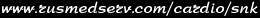 url_snk.gif (1219 bytes)