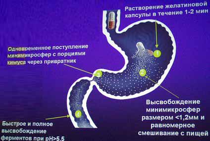 КРЕОН - Симпозиум «Лечебно-профилактические программы у детей с инфекционной патологией» - Специальный репортаж РМС-Экспо