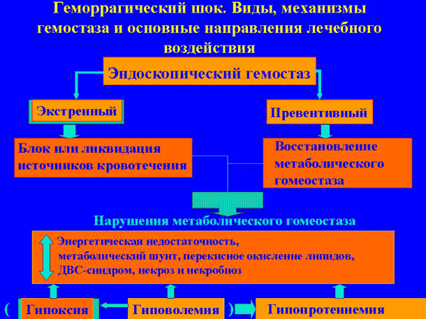 Слайд № 14