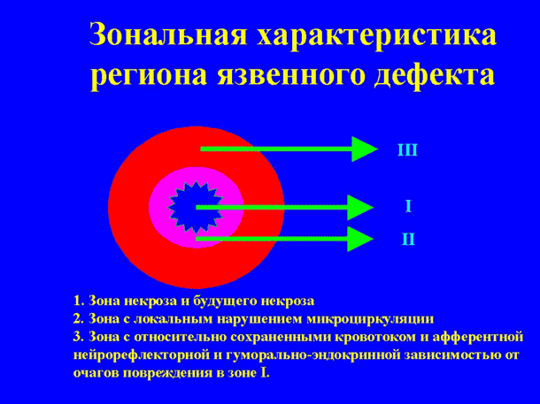 Слайд № 16