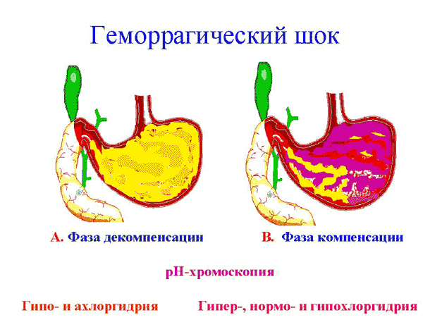 Слайд № 20