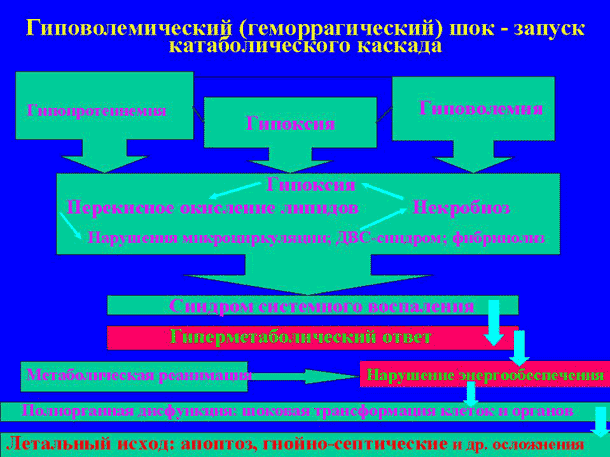 Слайд № 3