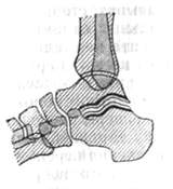 114.jpg (4896 bytes)