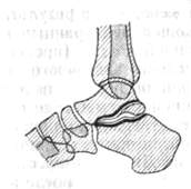 115.jpg (4965 bytes)