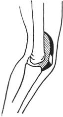 119.jpg (4737 bytes)