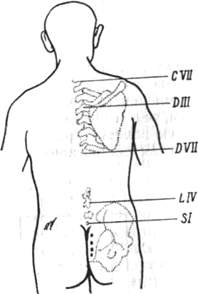 121.jpg (7793 bytes)