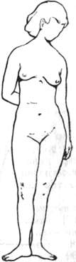 129.jpg (6411 bytes)