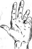 13.jpg (4173 bytes)