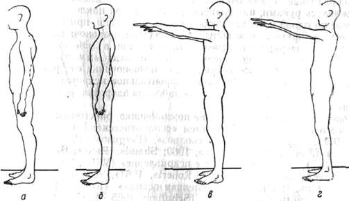131a.jpg (18071 bytes)