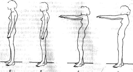 131c.jpg (18583 bytes)