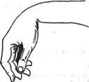 14.jpg (2437 bytes)