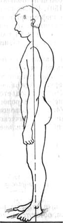 146.jpg (8241 bytes)