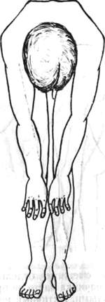 148.jpg (11038 bytes)