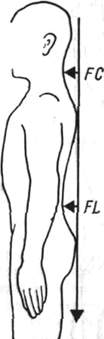150.jpg (5788 bytes)