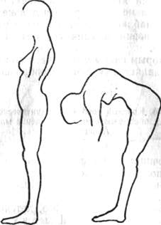 151.jpg (8623 bytes)