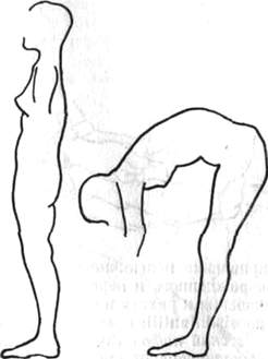 152.jpg (9284 bytes)