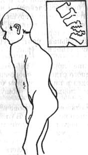155.jpg (8672 bytes)