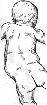 161.jpg (9683 bytes)