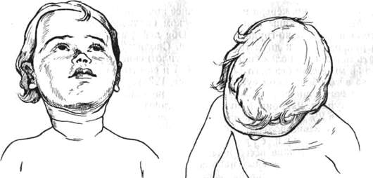 163.jpg (19147 bytes)
