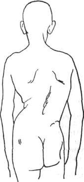166.jpg (7603 bytes)