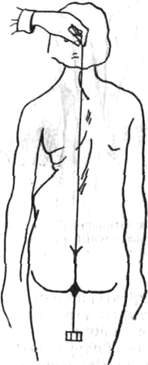 168.jpg (8694 bytes)
