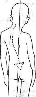 169.jpg (8806 bytes)