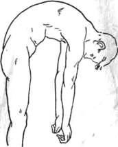 174.jpg (5848 bytes)
