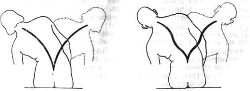 178.jpg (12069 bytes)