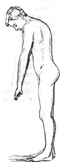 179.jpg (6064 bytes)