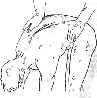183.jpg (13874 bytes)
