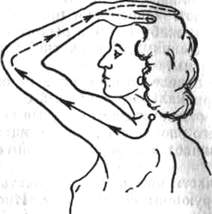 185.jpg (8773 bytes)