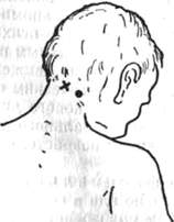186.jpg (5649 bytes)