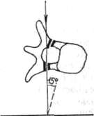 198.jpg (3162 bytes)