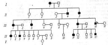 2.jpg (7763 bytes)