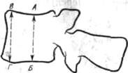 201.jpg (3625 bytes)