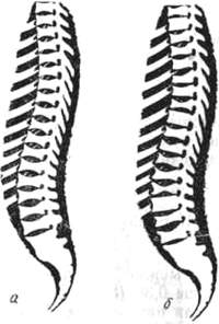 203.jpg (12189 bytes)