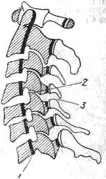 204.jpg (9084 bytes)