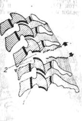 205.jpg (8097 bytes)