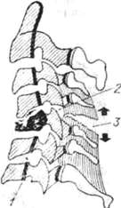 206.jpg (7183 bytes)