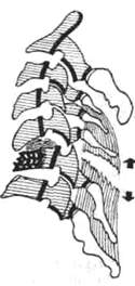 207.jpg (7411 bytes)