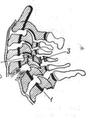 209.jpg (7410 bytes)