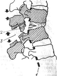 210.jpg (11317 bytes)
