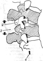 211.jpg (10349 bytes)