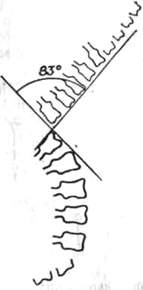 216.jpg (5460 bytes)
