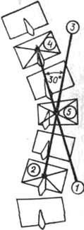 219.jpg (8115 bytes)