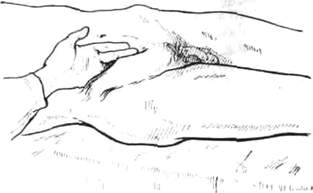 232.jpg (7786 bytes)